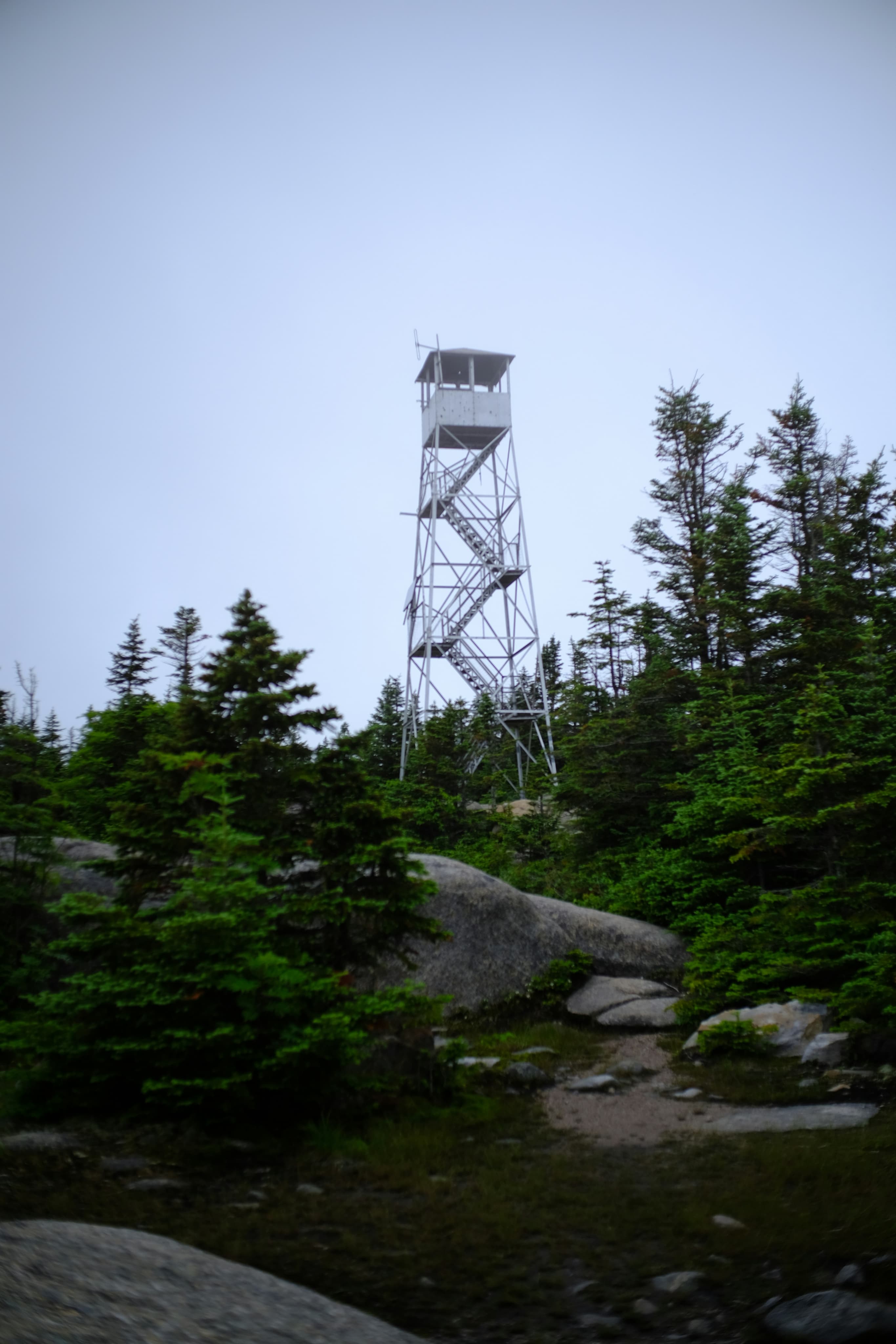 A fire tower rising above the evergreens on a Hudson Valley summit